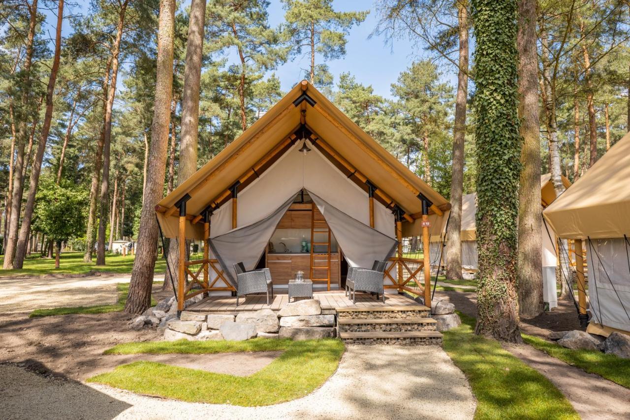 Europarcs Hoge Kempen Zutendaal Camera foto